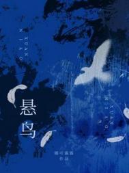 悬鸟到底讲了什么内容