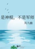 不是军师 凤九幽晋江