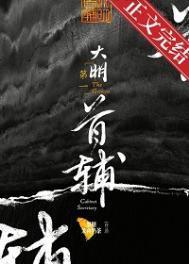 大明第一首辅有男主吗