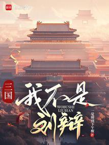 三国我刘辩让大汉再次伟大一觉睡到下午醒