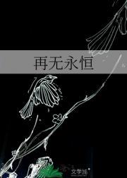 再无永恒是什么意思