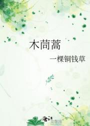 木茼蒿图片