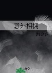 意外相遇意思