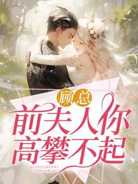 前夫人你高攀不起免费阅读