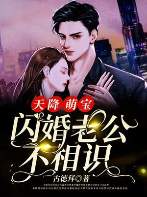 天降萌宝总裁爹地撩上瘾