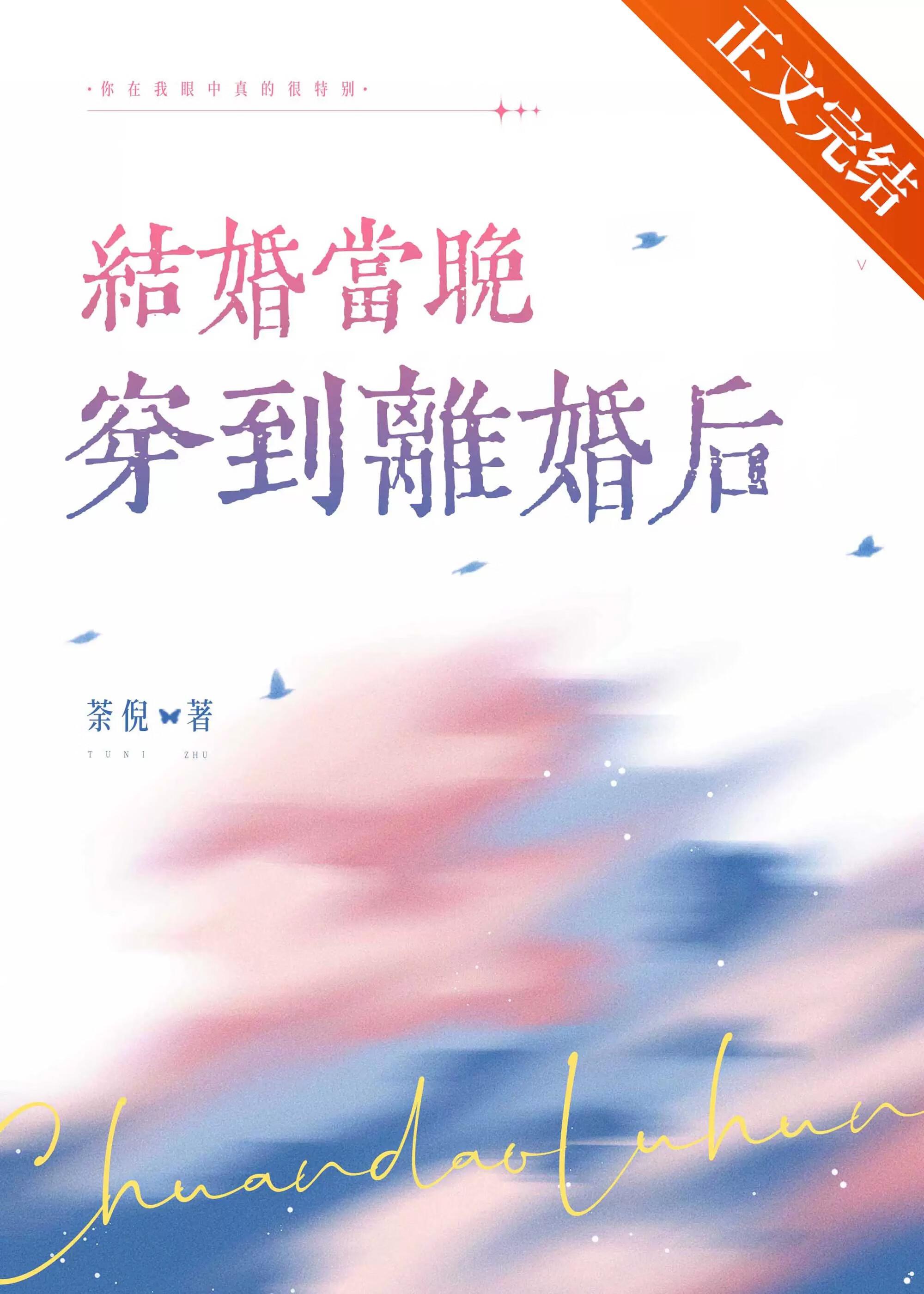 结婚当晚穿到离婚后双女主
