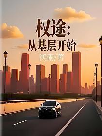 从基层到权力巅峰的官场