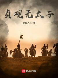 贞观无太子怎么烂尾了