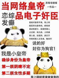 当网络皇上享缺德人生TXT