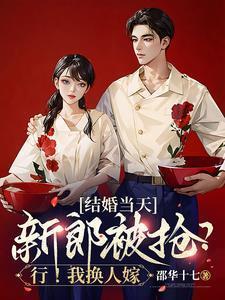 结婚当天新郎被气走的电视剧