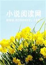 超凡战士遗产战争游戏
