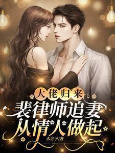 大佬归来裴律师木音子