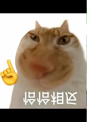 长生种开启了猎人朋友圈资源