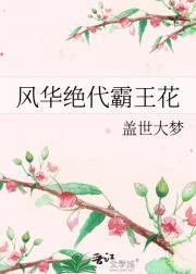风华绝代讲的是什么