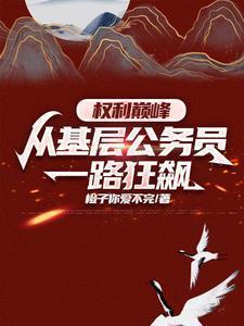 权力巅峰从基层公务员开始免费观看