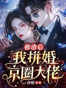 被渣后我风靡了娱乐圈免费阅读