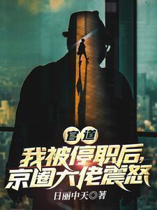 官道我被停职后京圈大佬震怒超前更新