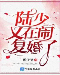 陆少又在闹复婚了剧情