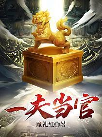 官场:一夫当官