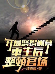 开局怒揭黑幕,重生后整顿官场