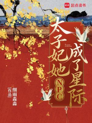 太子妃她成了星际NPC