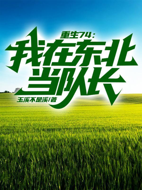 重生74:我在东北当队长