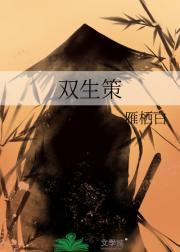 双生策