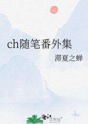 ch随笔番外集