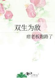 双生为敌