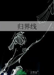 归界线