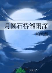 月圆石桥湘雨深
