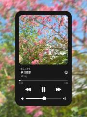 秋日遐想