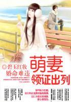婚命难违:萌妻,领证出列