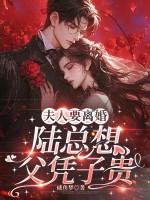 夫人要离婚,陆总想父凭子贵